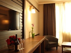 Hot Springs Medical and SPA - photo 21