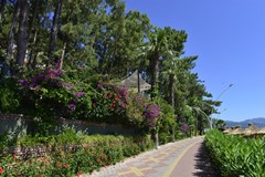 Grand Yazici Club Marmaris Palace - photo 17