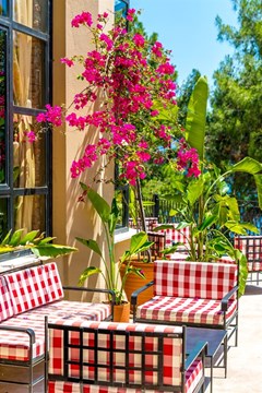 Grand Yazici Club Marmaris Palace - photo 50