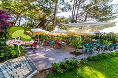 Grand Yazici Club Turban Thermal Hotel - photo 231