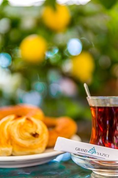 Grand Yazici Club Turban Thermal Hotel - photo 232