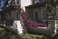 Cactus Mirage Family Club - photo 4