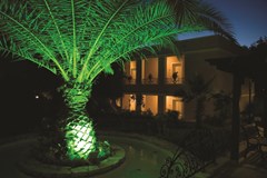 Cactus Mirage Family Club - photo 5