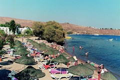 Club Muskebi - photo 5