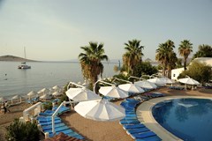 Club Muskebi - photo 1