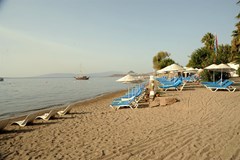 Club Muskebi - photo 28