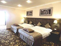 Imperial Palace Hotel - photo 8