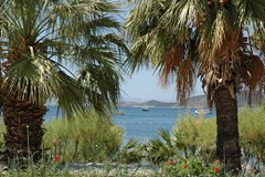 Sami Beach Hotel - photo 2