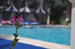 Sami Beach Hotel - photo 8