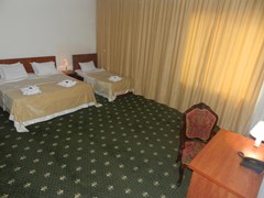 Asterion Palace Hotel - photo 6
