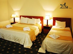 Asterion Palace Hotel - photo 11