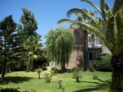 Lito Beach - photo 9