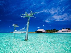 Anantara Dhigu Maldives Resort - photo 190