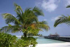 Anantara Veli Maldives Resort - photo 193