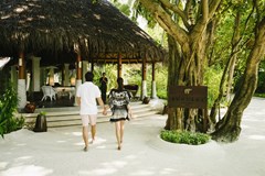 Anantara Veli Maldives Resort - photo 16