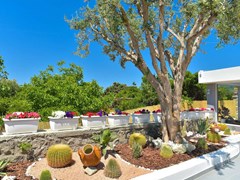 Mareco Resort Hotel - photo 8