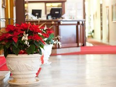 Des Anglais Hotel - photo 5