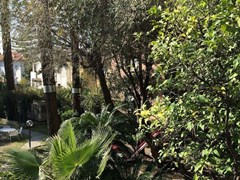 Morandi Hotel - photo 4