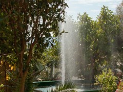 Nyala Hotel - photo 6