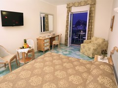 Hermitage & Park Terme Hotel - photo 20