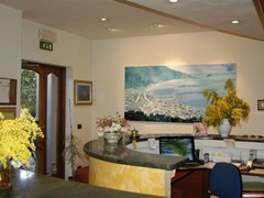 Baia Blu Hotel - photo 3
