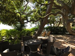 Mediterranee Grand Hotel - photo 7