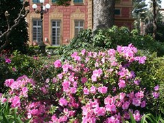 Villa Balbi Grand Hotel - photo 4