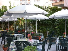 Capri Hotel - photo 4