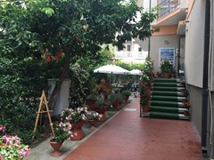 Capri Hotel - photo 3