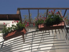 Poseidon Hotel - photo 14