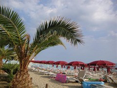 La Playa Hotel - photo 16