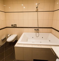 Bulvar Inn Hotel: Люкс - photo 28