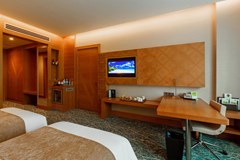 Holiday Inn Baku Hotel - photo 8