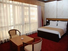 Alp Inn Hotel: Стандартный двухместный номер с 1 кроватью - photo 6