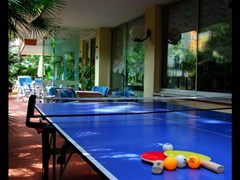 Brown Atrium Hotel - photo 5