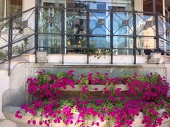 Carlton Beach Hotel - photo 3