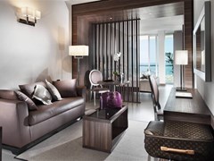 Waldorf Suite  - photo 20