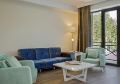 Kokhta Plaza Hotel - photo 15