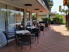 Naica Hotel - photo 3