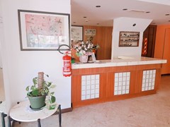 Naica Hotel - photo 5
