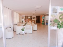 Naica Hotel - photo 8