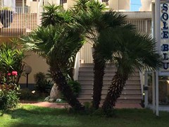Sole Blu Hotel - photo 9
