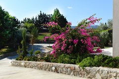 Villa Victory - photo 5