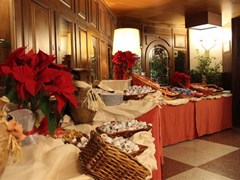 Mont Blanc Hotel - photo 7