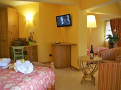 Mont Blanc Hotel - photo 11
