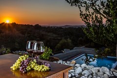 Villa Elisa - photo 1