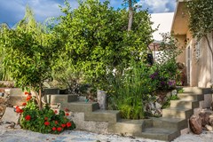 Villa Elisa - photo 3