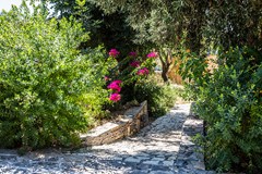 Villa Elisa - photo 17