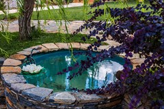 Villa Elisa - photo 22