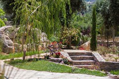 Villa Elisa - photo 24